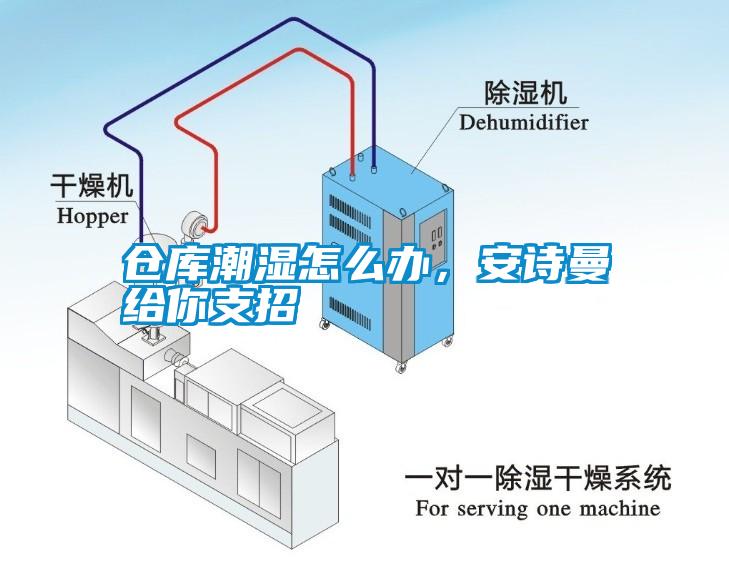 倉庫潮濕怎么辦，安詩曼給你支招