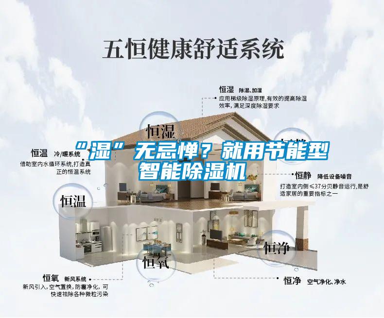 “濕”無忌憚？就用節能型智能除濕機