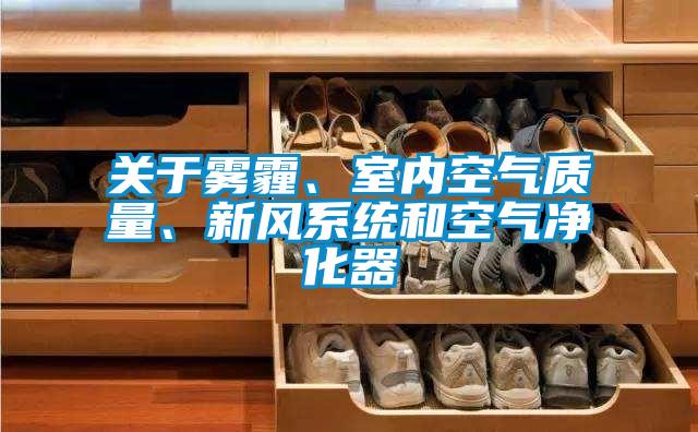 關于霧霾、室內空氣質量、新風系統和空氣凈化器