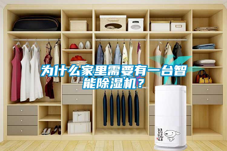 為什么家里需要有一臺智能除濕機？
