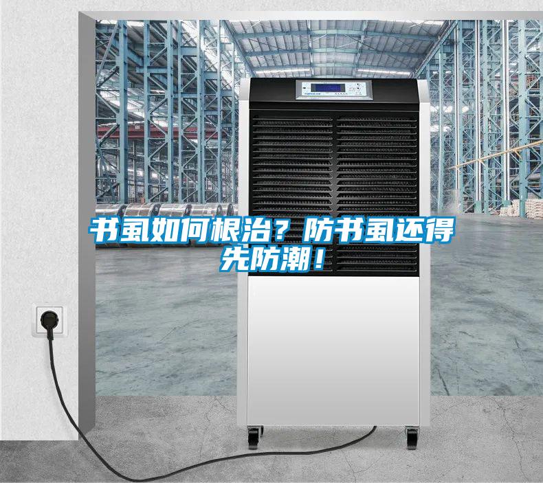 書虱如何根治？防書虱還得先防潮！