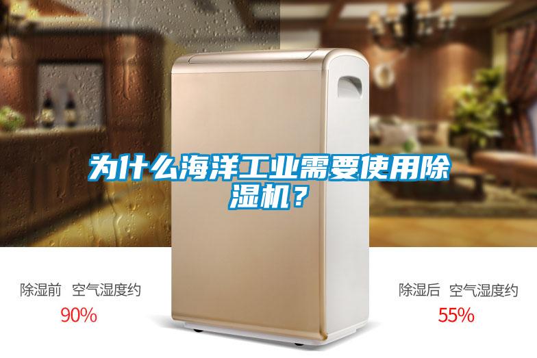 為什么海洋工業(yè)需要使用除濕機？