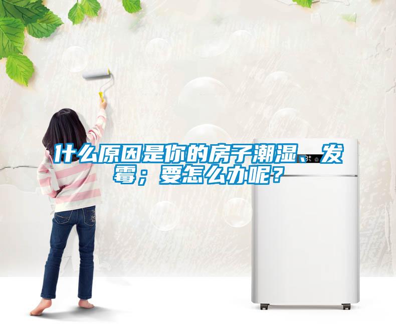 什么原因是你的房子潮濕、發霉；要怎么辦呢？