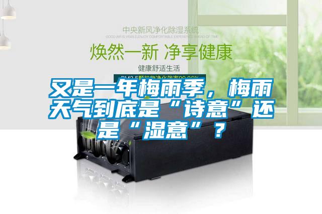 又是一年梅雨季，梅雨天氣到底是“詩意”還是“濕意”？