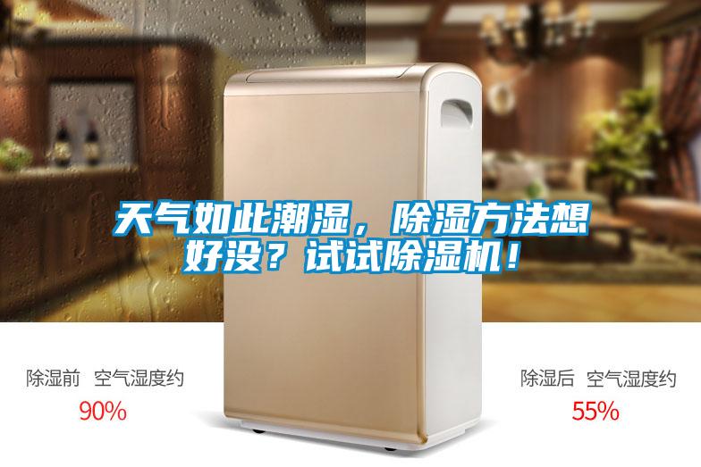 天氣如此潮濕，除濕方法想好沒？試試除濕機！