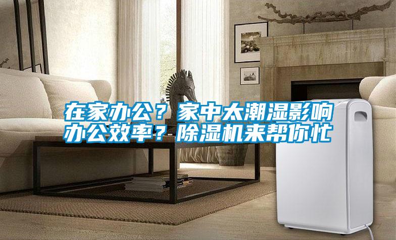 在家辦公？家中太潮濕影響辦公效率？除濕機來幫你忙