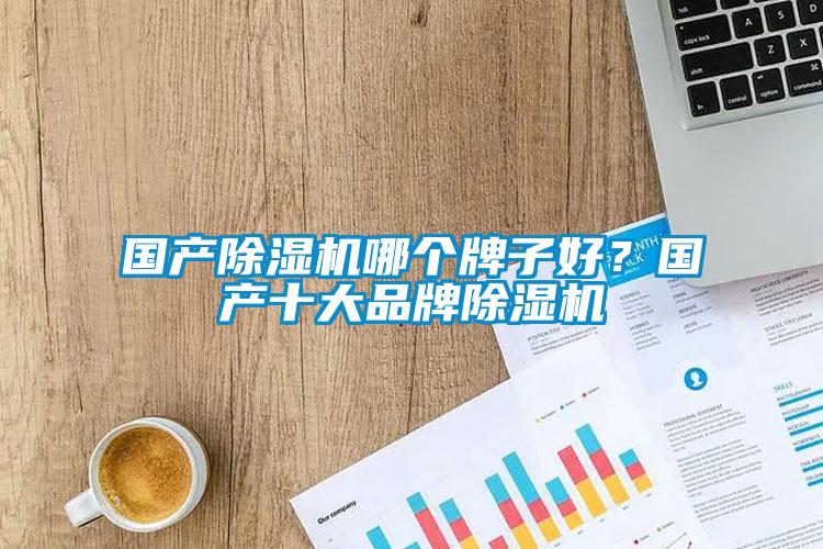 國產除濕機哪個牌子好？國產十大品牌除濕機