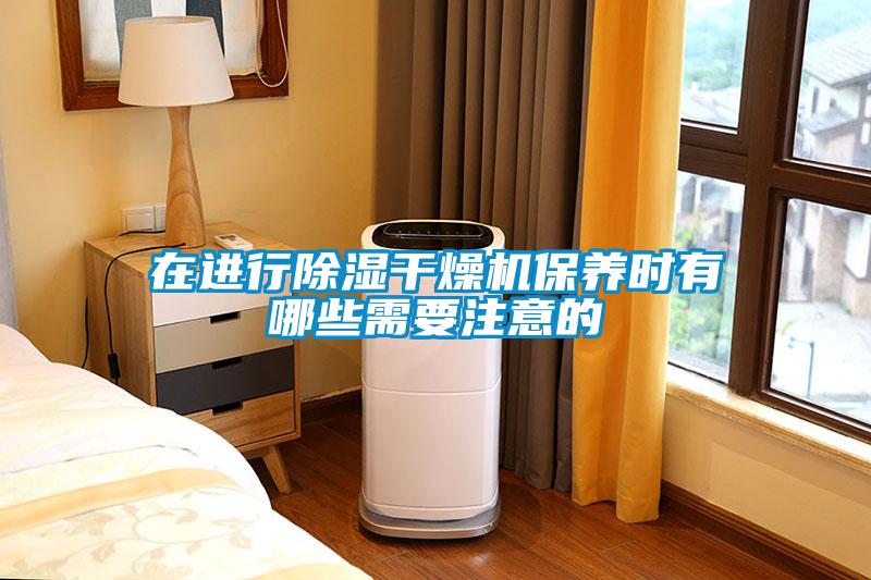 在進(jìn)行除濕干燥機(jī)保養(yǎng)時有哪些需要注意的