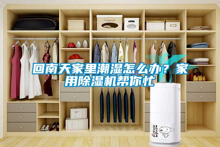 回南天家里潮濕怎么辦？家用除濕機(jī)幫你忙