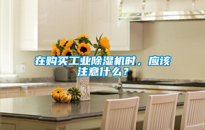 在購(gòu)買工業(yè)除濕機(jī)時(shí)，應(yīng)該注意什么？