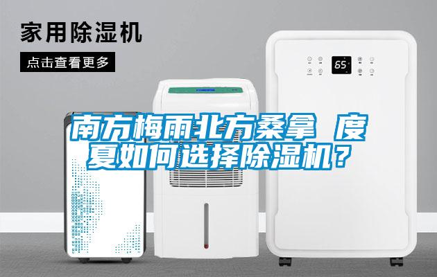 南方梅雨北方桑拿 度夏如何選擇除濕機？