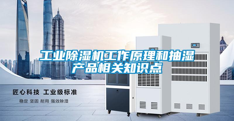 工業(yè)除濕機工作原理和抽濕產品相關知識點