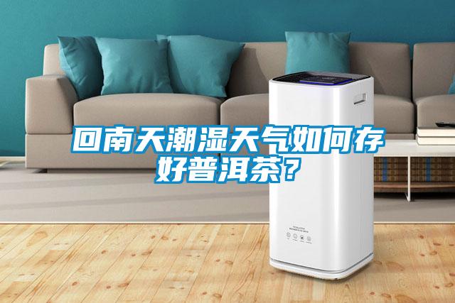 回南天潮濕天氣如何存好普洱茶？
