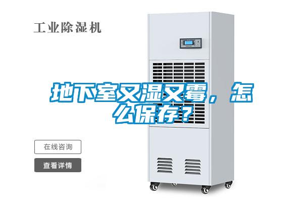 地下室又濕又霉，怎么保存？