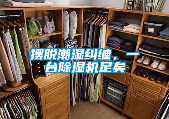 擺脫潮濕糾纏，一臺除濕機(jī)足矣