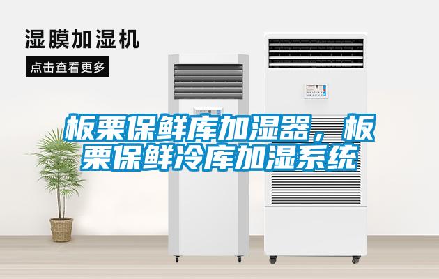 板栗保鮮庫加濕器，板栗保鮮冷庫加濕系統(tǒng)