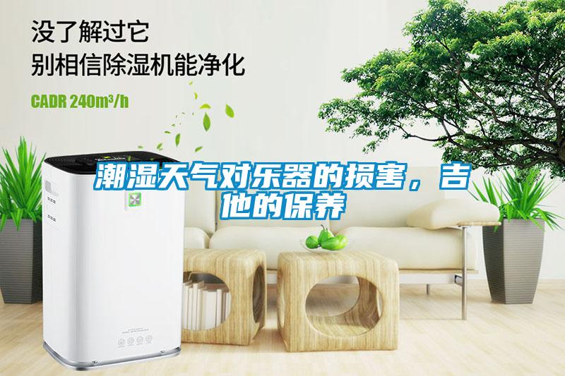 潮濕天氣對樂器的損害，吉他的保養