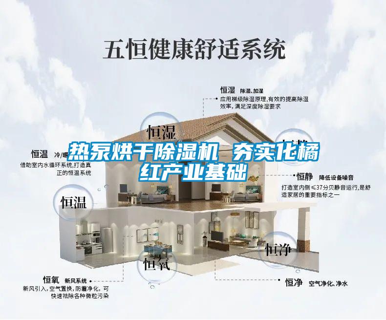 熱泵烘干除濕機(jī) 夯實化橘紅產(chǎn)業(yè)基礎(chǔ)