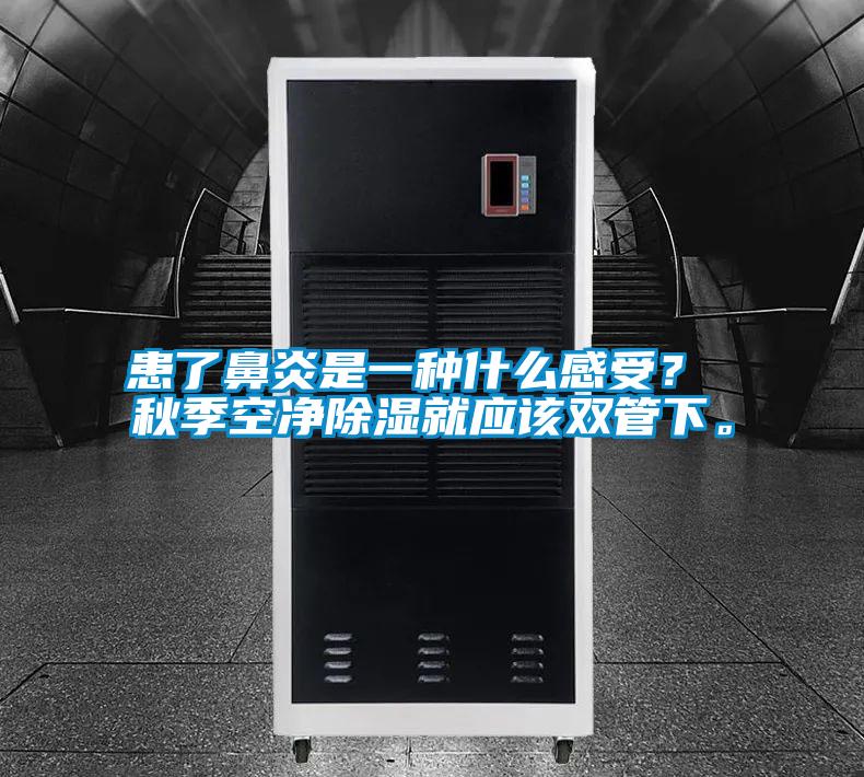患了鼻炎是一種什么感受？ 秋季空凈除濕就應該雙管下。