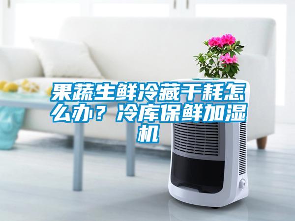 果蔬生鮮冷藏干耗怎么辦？冷庫保鮮加濕機