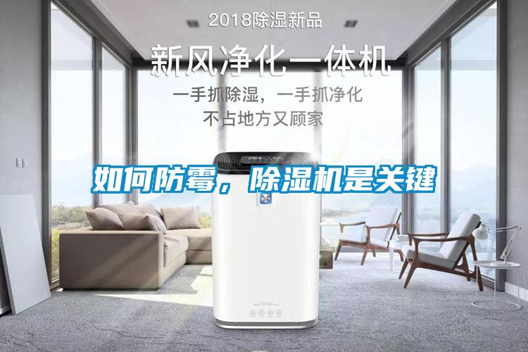 如何防霉，除濕機是關鍵