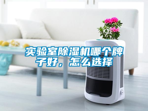 實驗室除濕機哪個牌子好，怎么選擇
