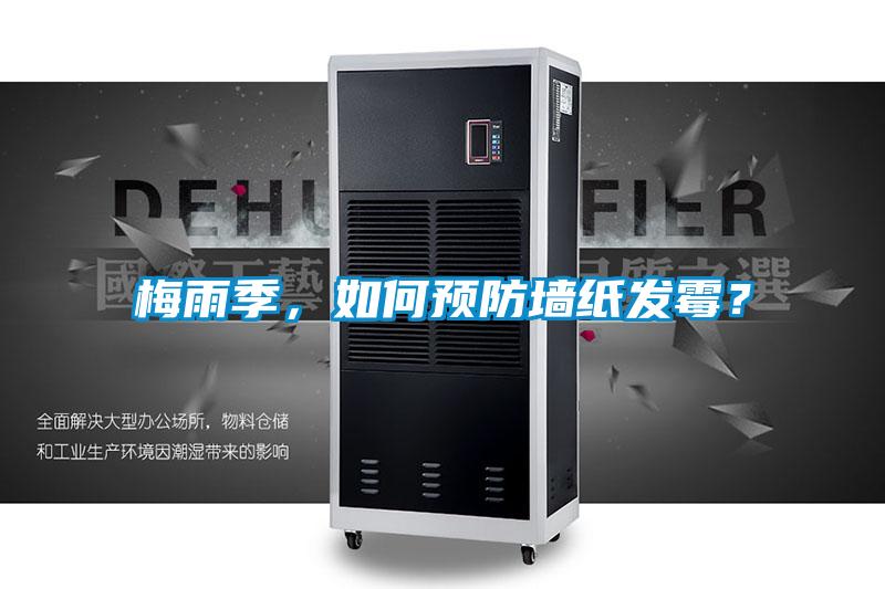 梅雨季，如何預防墻紙發霉？