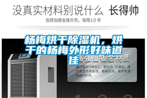 楊梅烘干除濕機，烘干的楊梅外形好味道佳