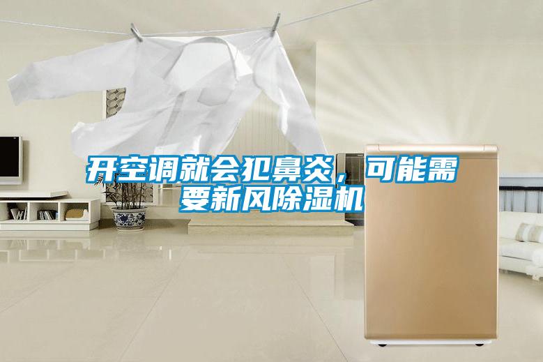 開空調就會犯鼻炎，可能需要新風除濕機