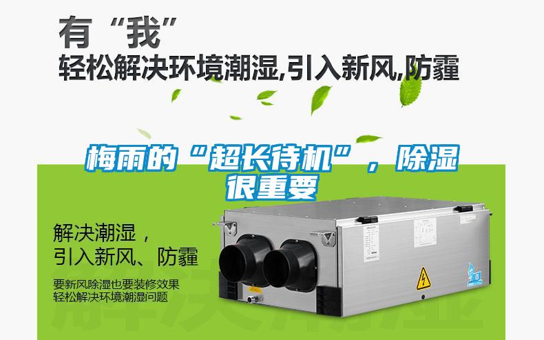 梅雨的“超長待機”，除濕很重要