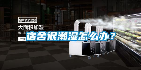 宿舍很潮濕怎么辦？