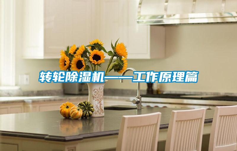 轉(zhuǎn)輪除濕機——工作原理篇