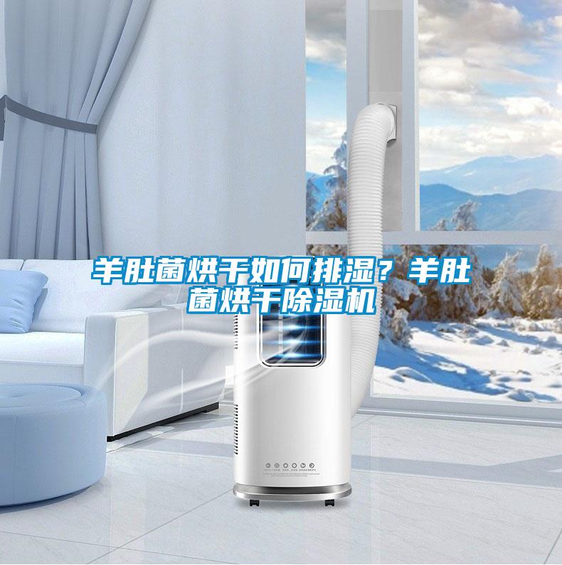 羊肚菌烘干如何排濕？羊肚菌烘干除濕機