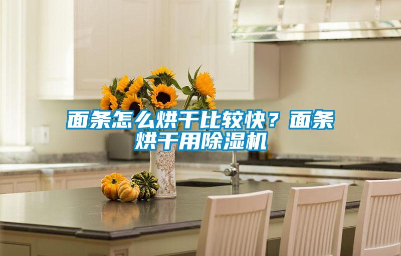 面條怎么烘干比較快？面條烘干用除濕機(jī)