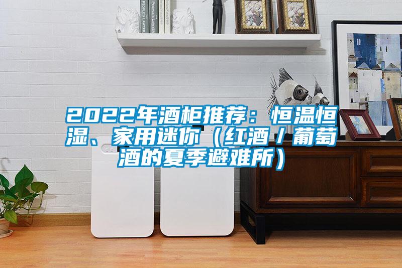 2022年酒柜推薦：恒溫恒濕、家用迷你（紅酒／葡萄酒的夏季避難所）