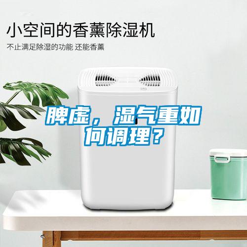 脾虛，濕氣重如何調理？