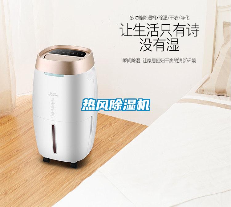 熱風(fēng)除濕機