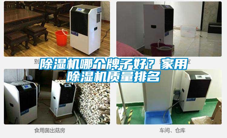 除濕機哪個牌子好？家用除濕機質(zhì)量排名