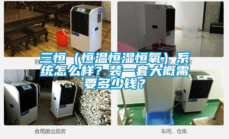 三恒（恒溫恒濕恒氧）系統怎么樣？裝一套大概需要多少錢？