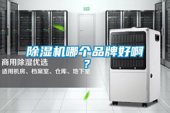 除濕機(jī)哪個品牌好啊？