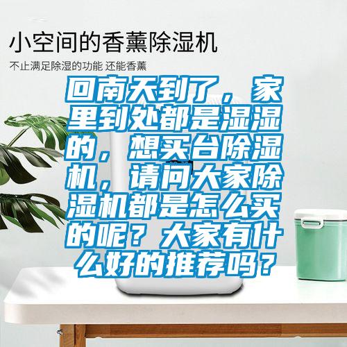 回南天到了，家里到處都是濕濕的，想買臺除濕機，請問大家除濕機都是怎么買的呢？大家有什么好的推薦嗎？