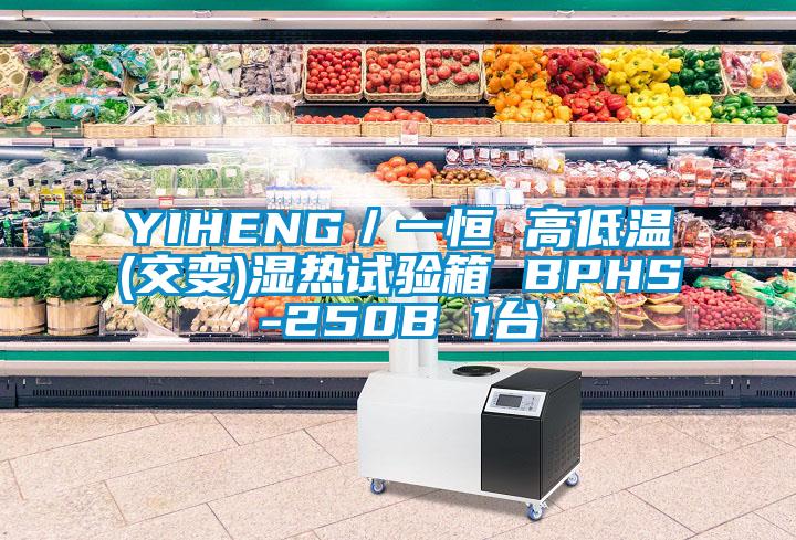 YIHENG／一恒 高低溫(交變)濕熱試驗(yàn)箱 BPHS-250B 1臺
