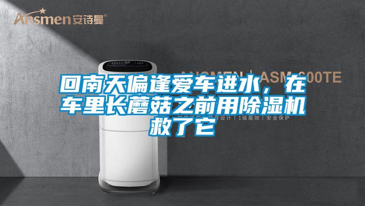 回南天偏逢愛車進水，在車里長蘑菇之前用除濕機救了它