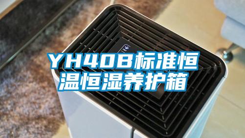 YH40B標準恒溫恒濕養(yǎng)護箱