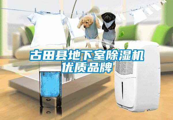 古田縣地下室除濕機優(yōu)質(zhì)品牌