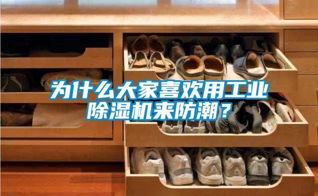 為什么大家喜歡用工業(yè)除濕機(jī)來防潮？