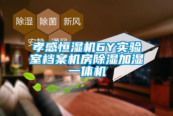 孝感恒濕機(jī)6Y實驗室檔案機(jī)房除濕加濕一體機(jī)