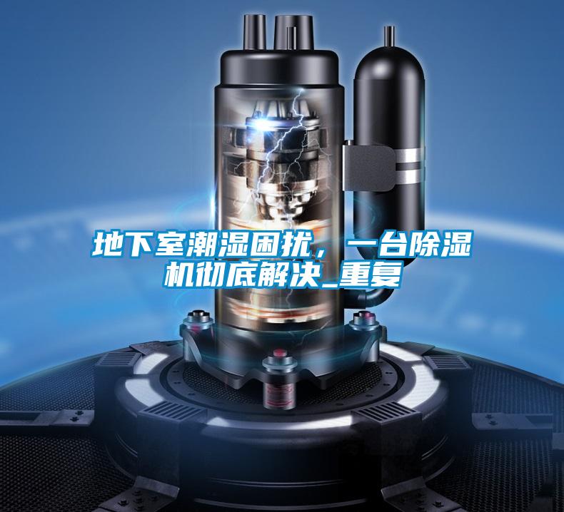 地下室潮濕困擾，一臺除濕機徹底解決_重復
