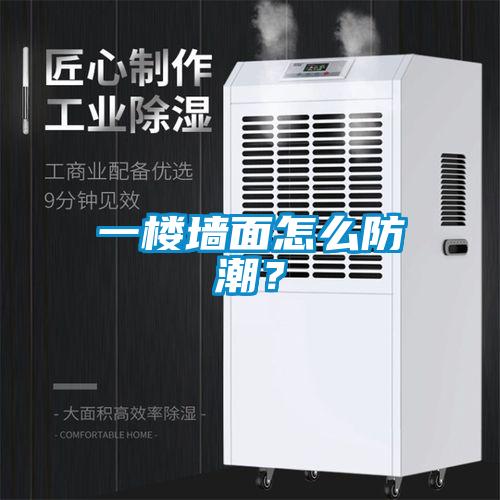 一樓墻面怎么防潮？