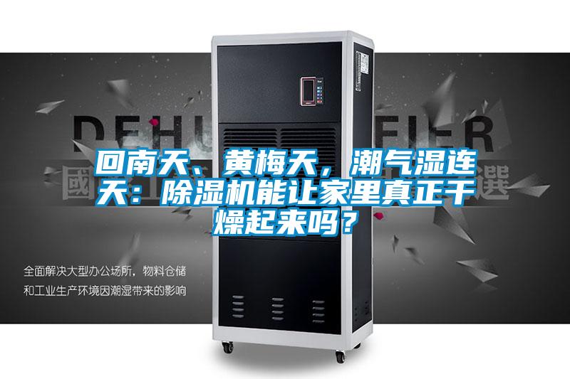 回南天、黃梅天，潮氣濕連天：除濕機能讓家里真正干燥起來嗎？